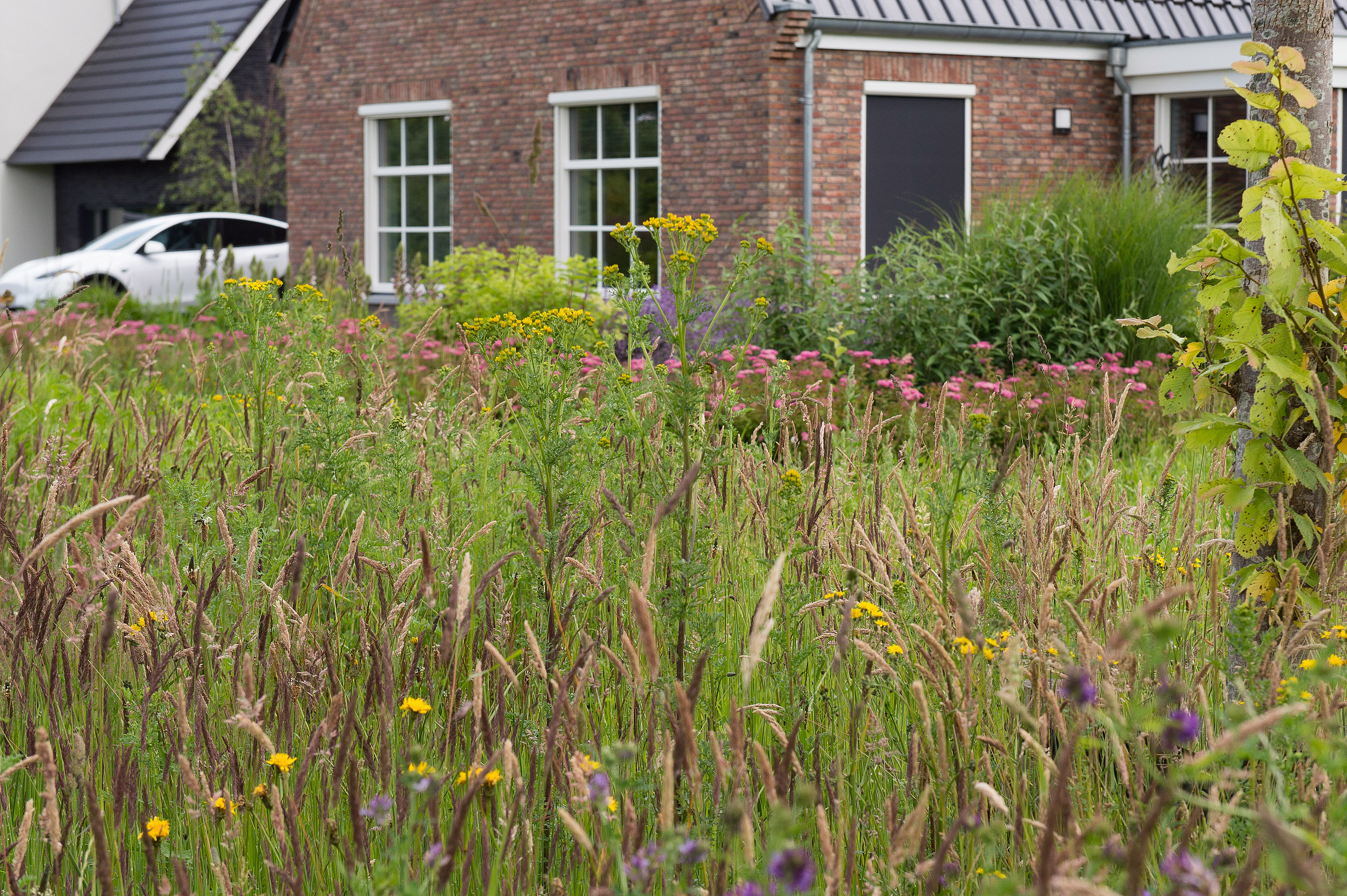 Nooitgedacht 1 juni 2024 (2)