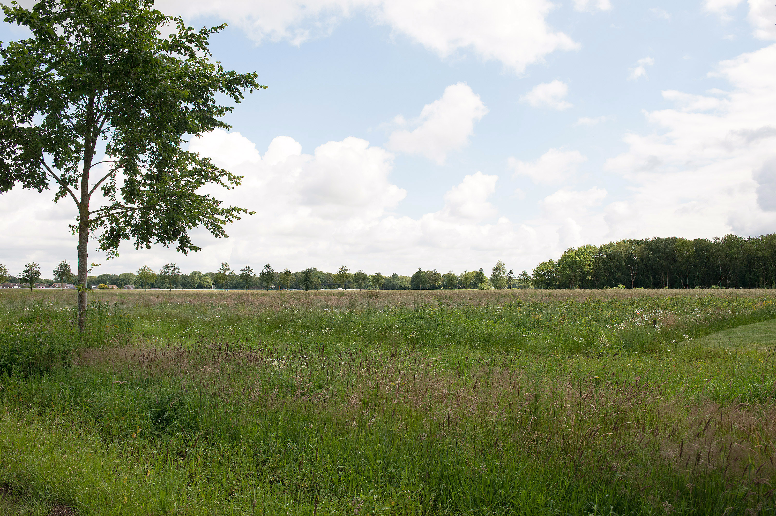 Nooitgedacht juni 2024 (21)